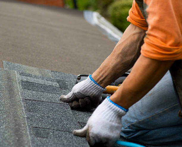 Best Gutter Installation and Roofing  in White City, FL